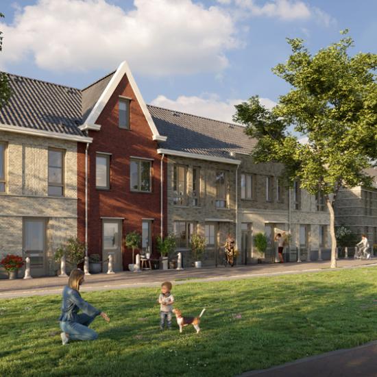 Westerhof Gouda